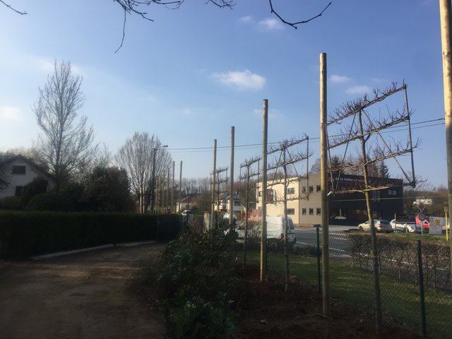 Réalisation de Poly-Lux