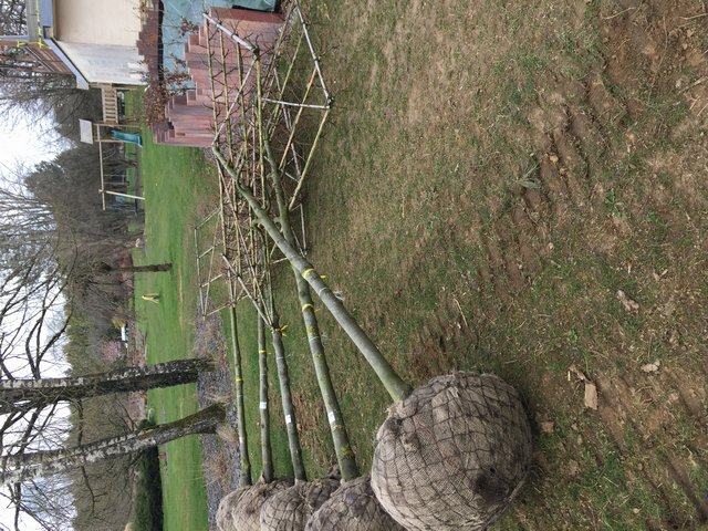 Réalisation de PolyLux