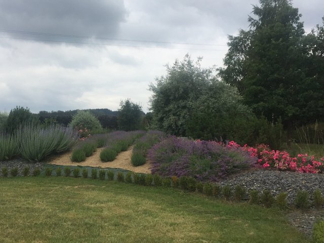 Réalisation de PolyLux